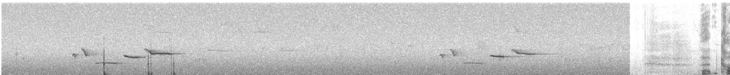 gråkjernebiter - ML616030668