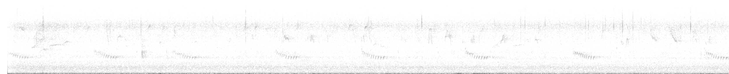 Поплітник каролінський - ML616031700