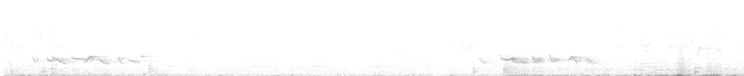drozd brávník - ML616033226