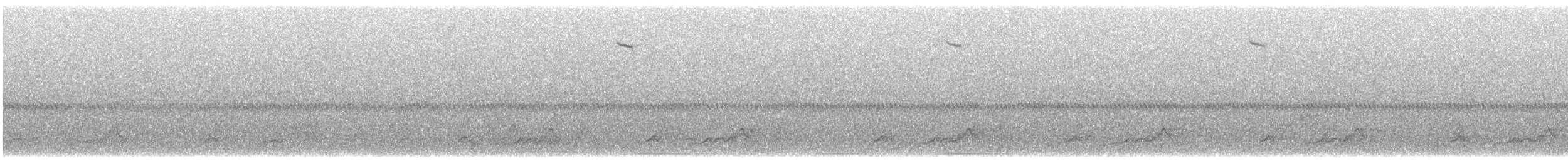 Schwarzkehl-Nachtschwalbe - ML616034993
