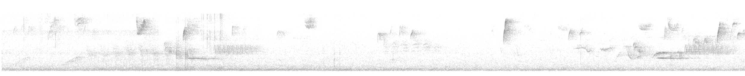 גיבתונית חומת-זנב - ML616035575
