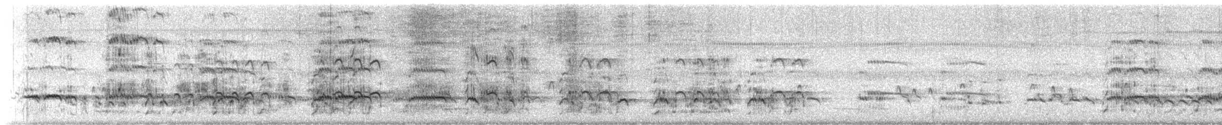 Willet - ML616036089