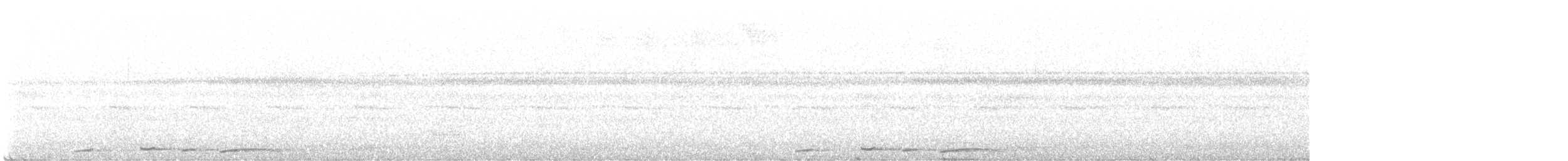 holub krátkozobý - ML616036799