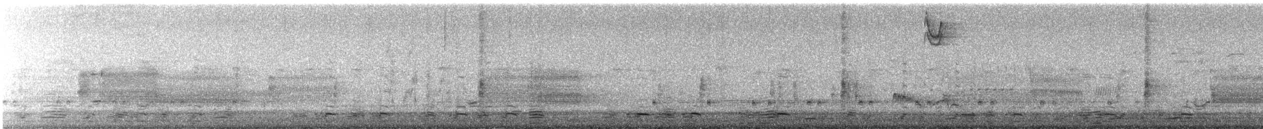 Virginia Rail - ML616037156