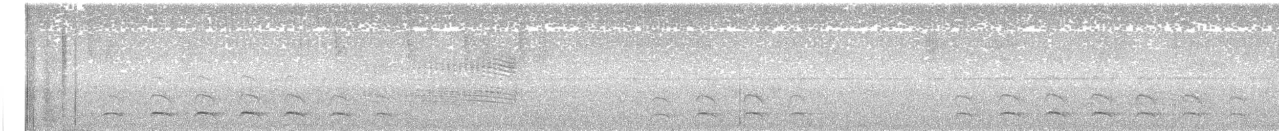 Weißbart-Ameisenwürger - ML616037993