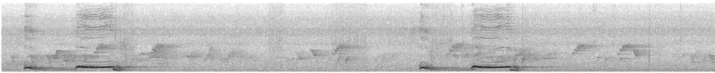 Кораловоклювая воронья кукушка - ML616039487