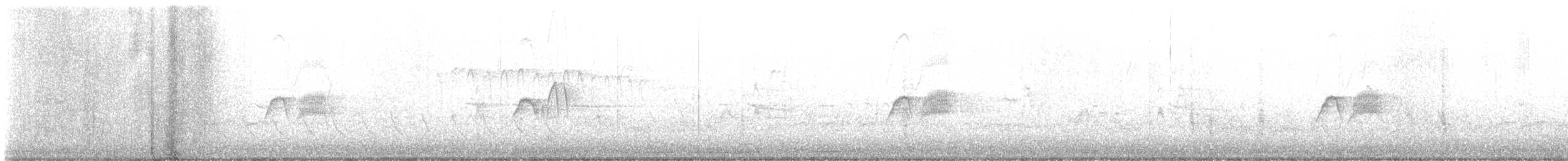 Светлобрюхий фиби - ML616040562