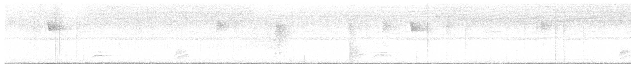 White-necked Thrush - ML616042750