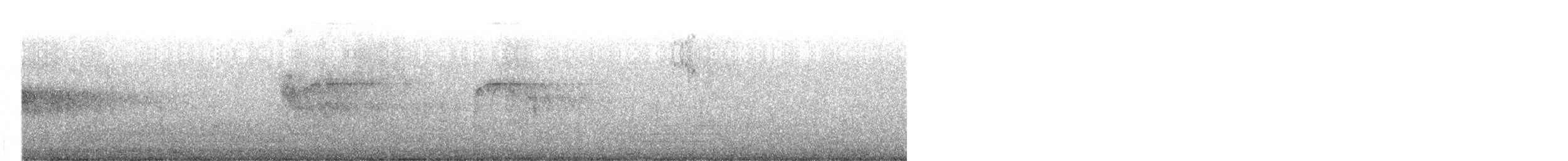 ヨーロッパアマツバメ／ウスアマツバメ - ML616043618