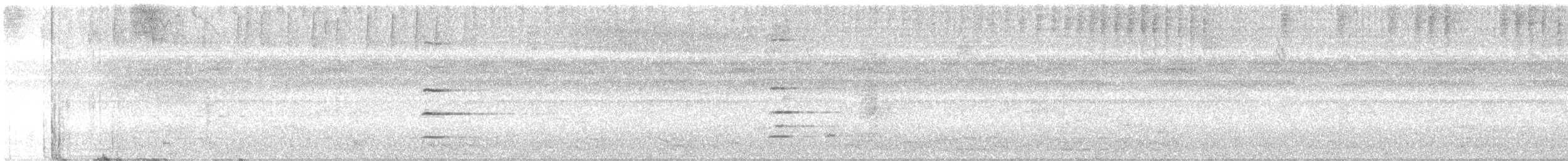 svartkronet hvitbukpapegøye - ML616045447