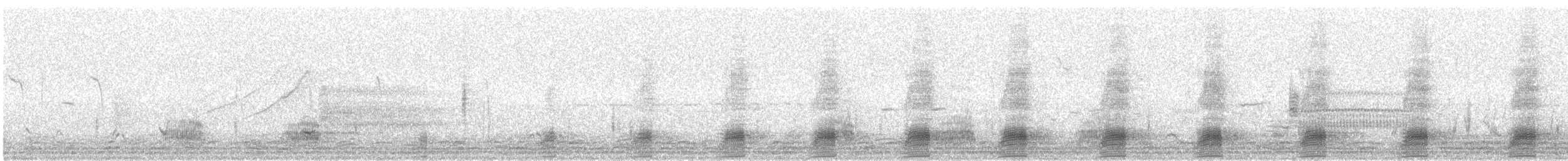 Canard colvert - ML616046034