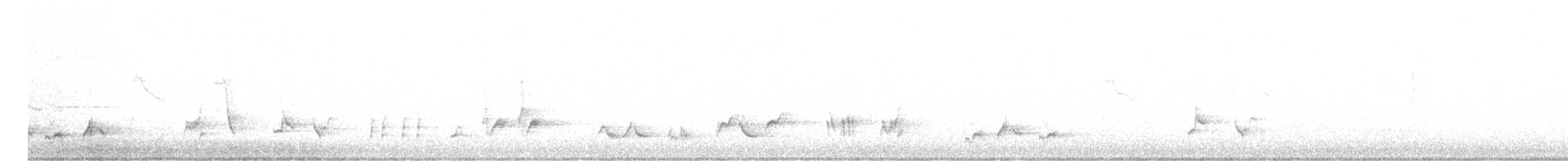 Curve-billed Thrasher (palmeri Group) - ML616046877