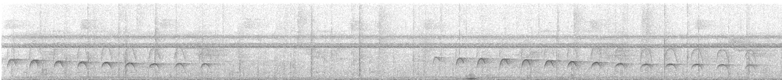 White-flanked Antwren (White-flanked) - ML616051032