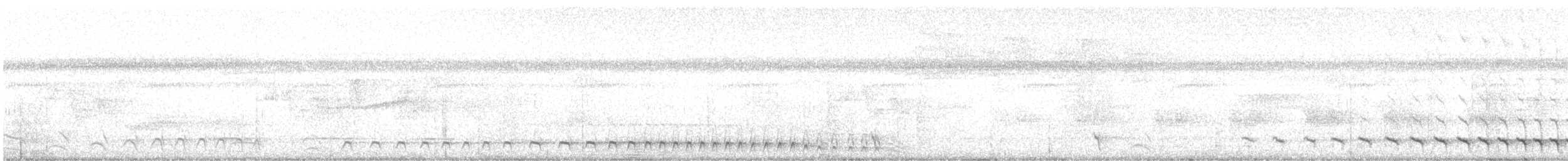 White-tailed Trogon - ML616052176