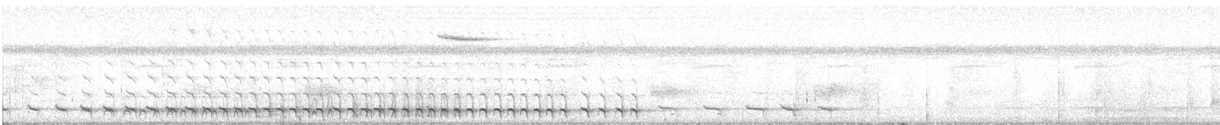 White-tailed Trogon - ML616052182