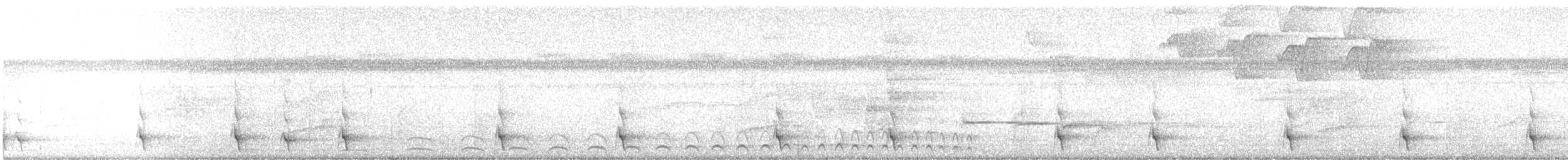 White-tailed Trogon - ML616052184