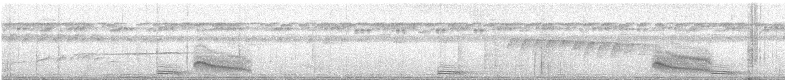 Мурав’янка строката - ML616052242