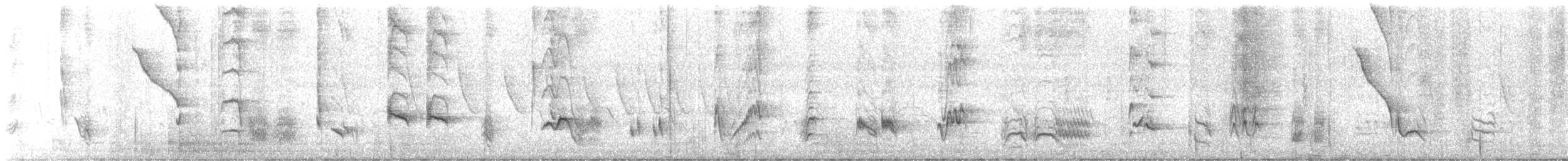 Langschnabel-Spottdrossel - ML616054527