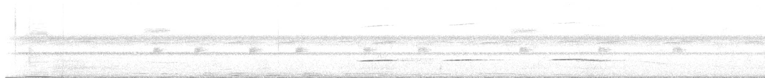 Striped Cuckoo - ML616055688