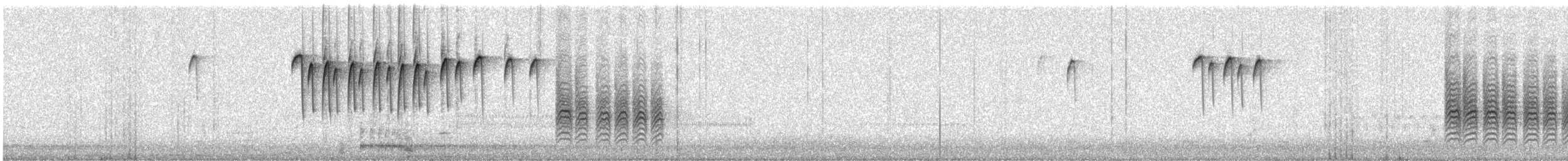 Black-capped Chickadee - ML616057903