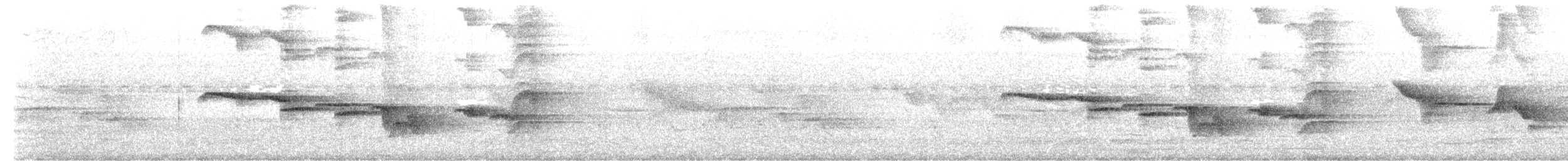 Oriental Magpie-Robin - ML616058641