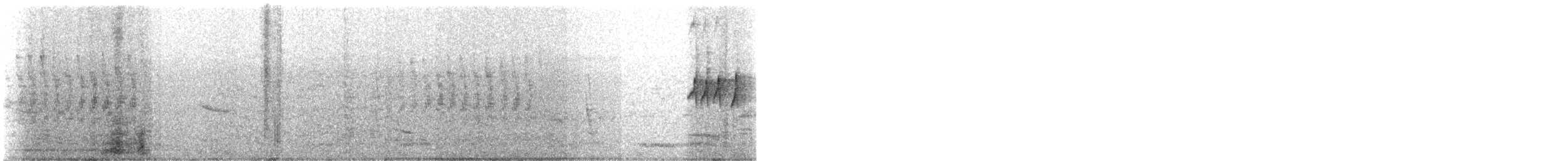 Hémipe gobemouche - ML616059727