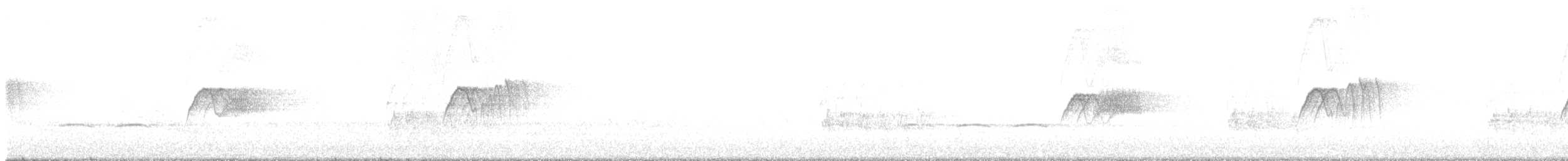 Weißbauch-Phoebetyrann - ML616063057