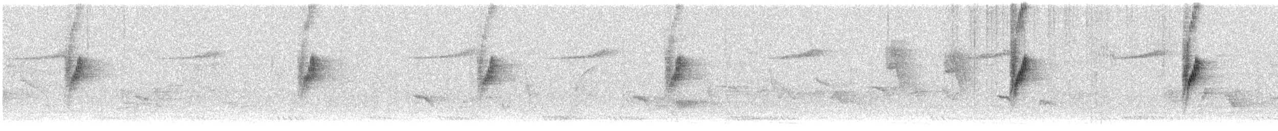 Атласная нектарница - ML616065525