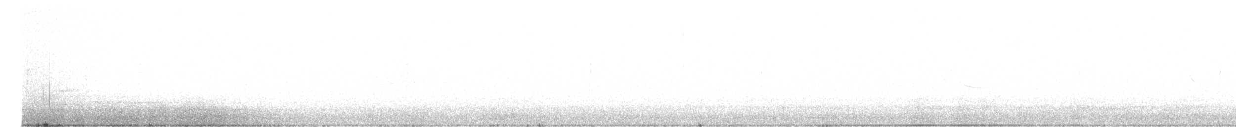 Weißbauch-Phoebetyrann - ML616066144