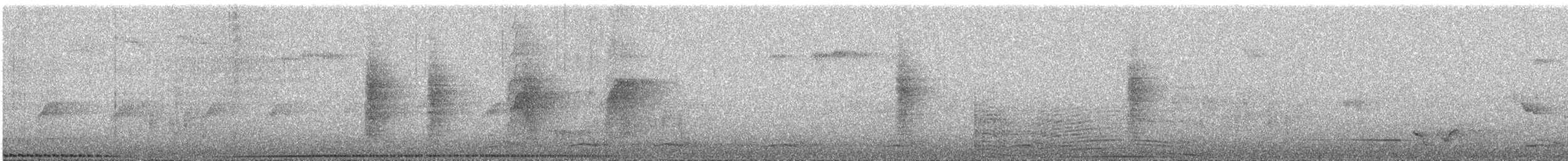 Mor Japon Güvercini - ML616067257