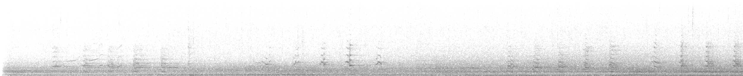 krocan divoký - ML616067523
