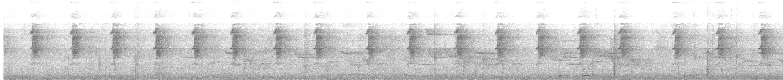 Длинноклювый колибри-отшельник - ML616069698