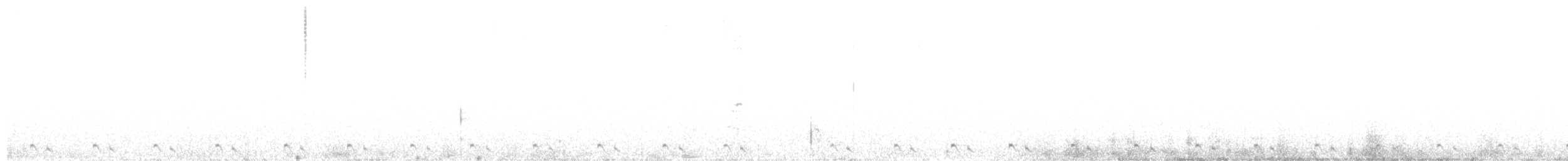Prachtnachtschwalbe - ML616069901