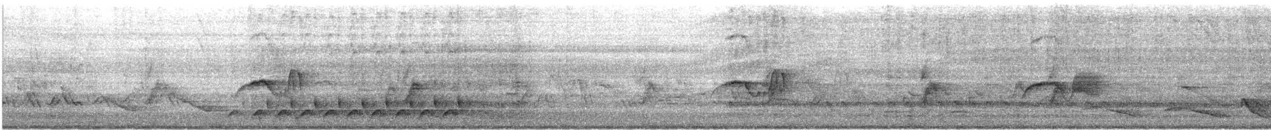 Eastern Phoebe - ML616071481