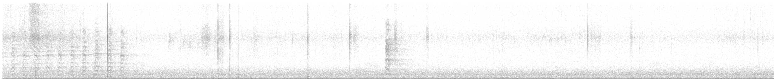 Rundschwanzhabicht - ML616072934