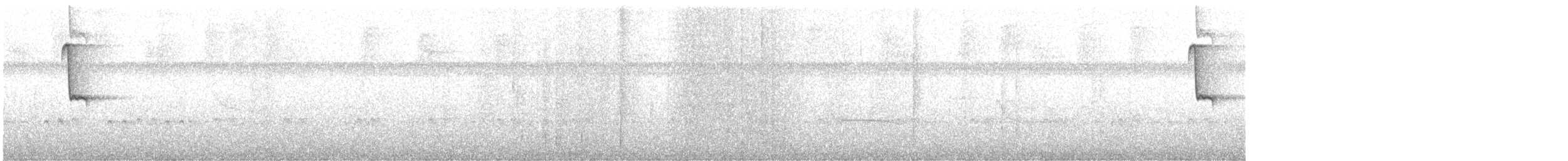 Ерміт світлочеревий - ML616073113