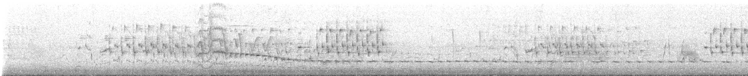 Troglodyte des marais - ML616073519