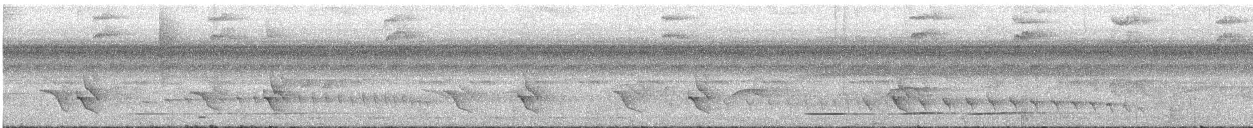 Kurzschwanz-Ameisenschlüpfer - ML616073620