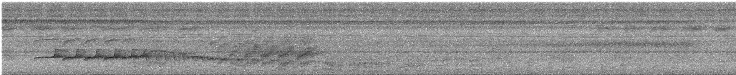 Braunweiß-Ameisenvogel - ML616073717