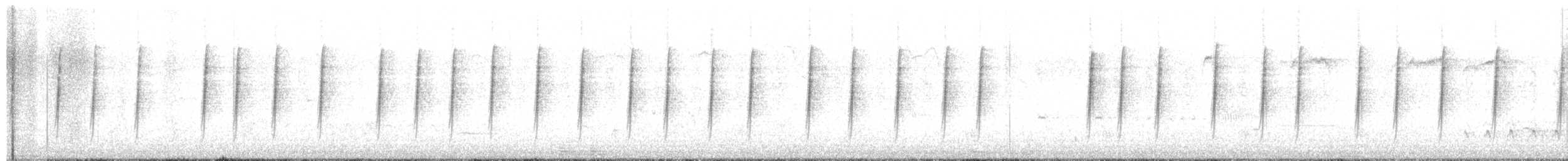 Troglodyte de Bewick - ML616074525