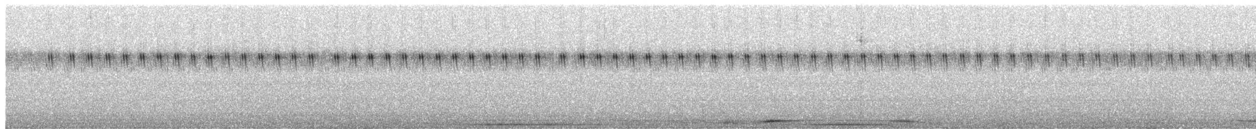 Wedge-tailed Shearwater - ML616075289