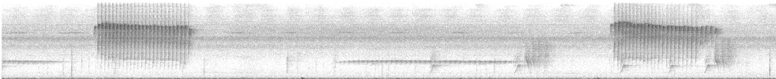 Rufous-tailed Stipplethroat - ML616075421