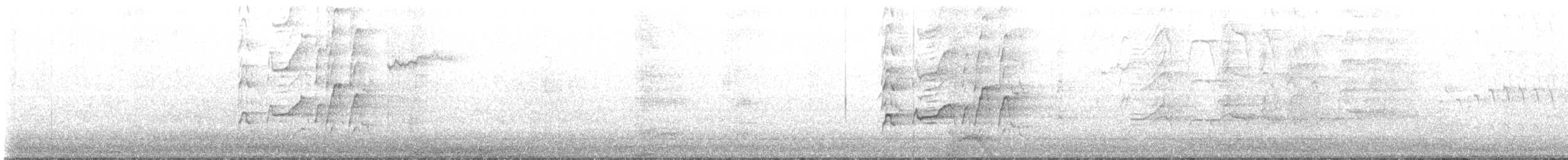 husička černobřichá (ssp. fulgens) - ML616077146