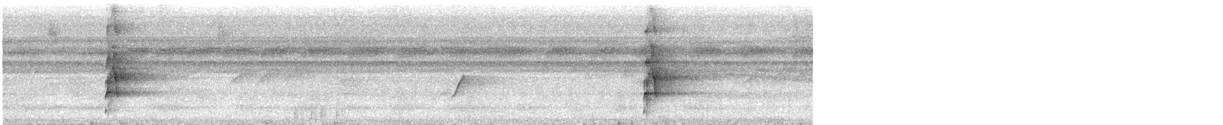 Bindenarassari - ML616078532