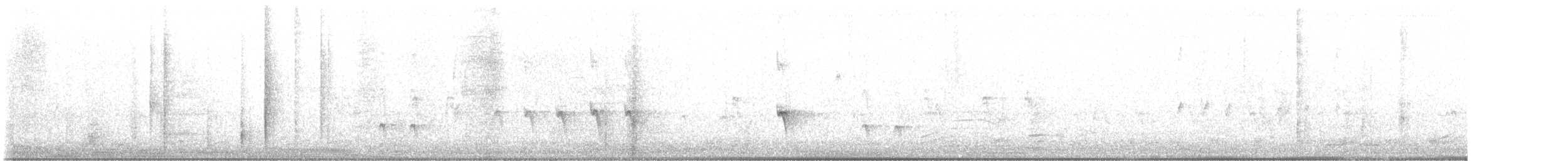Шишкар ялиновий - ML616078582
