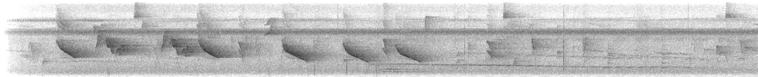 Белогорлая сорокопутовая танагра - ML616078609