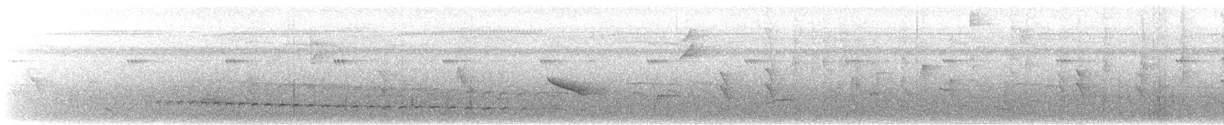 perletreløper - ML616078622