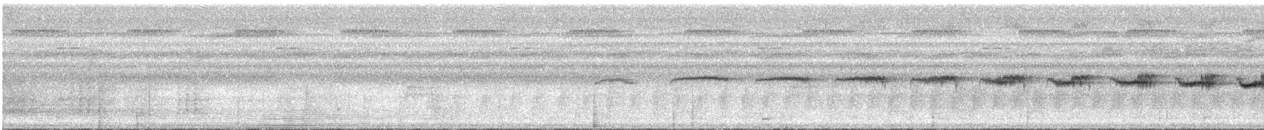 Plain-throated Antwren - ML616079529