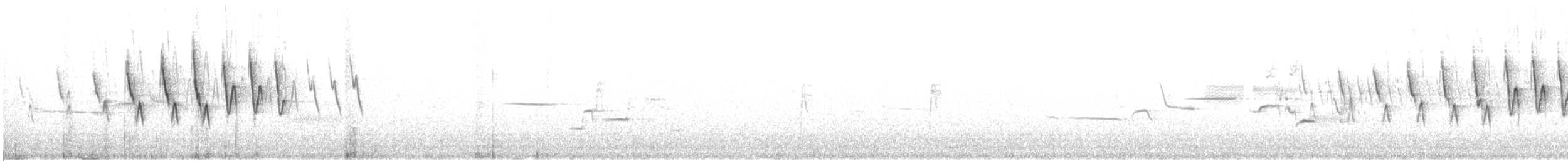 Paruline à calotte noire - ML616081249