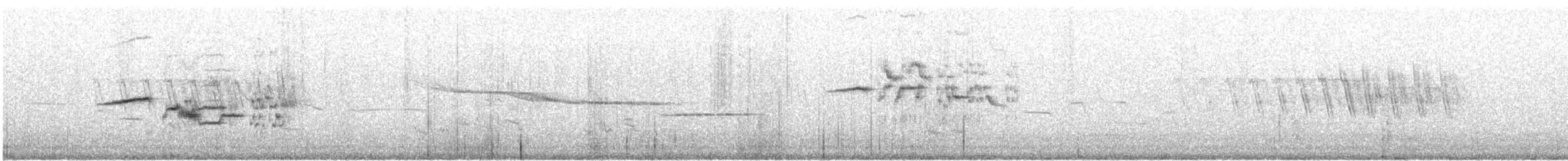 Дрізд-короткодзьоб плямистоволий - ML616081262